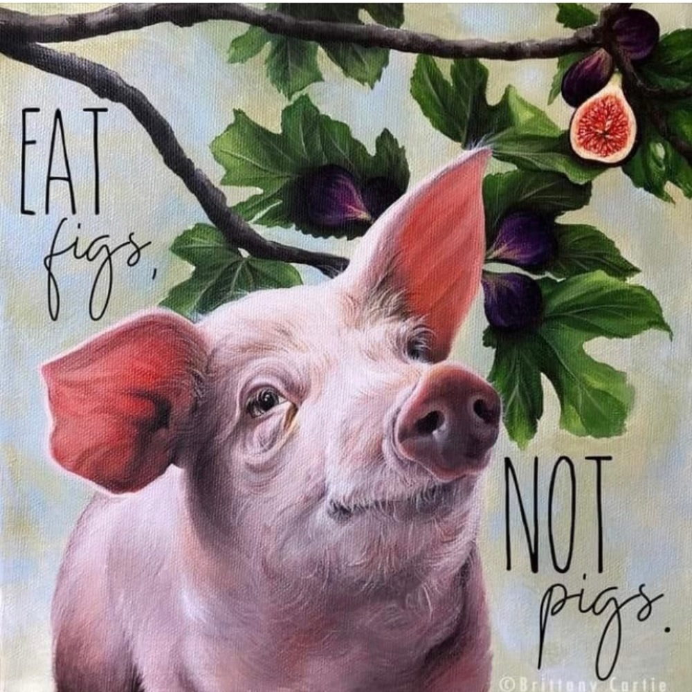 Meet your Posher, Shelley